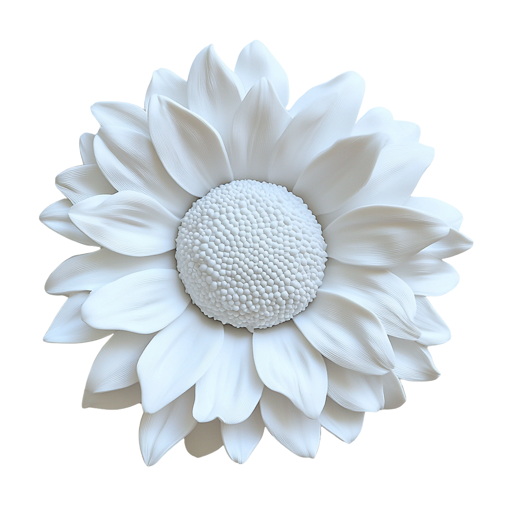 Sonnenblume