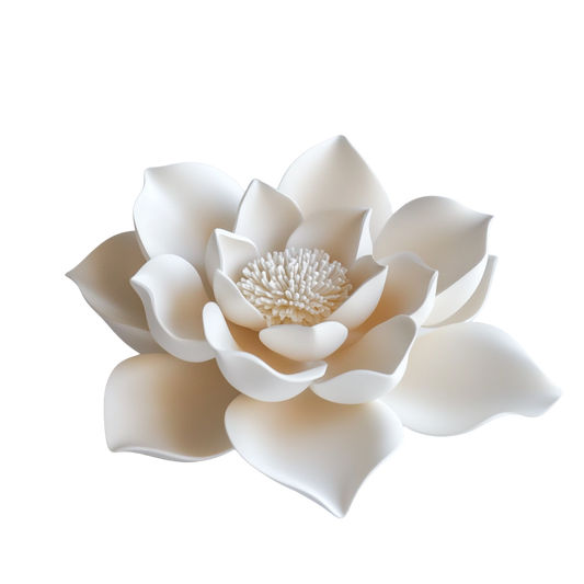 Blüte
