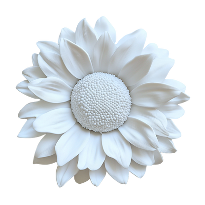Sonnenblume