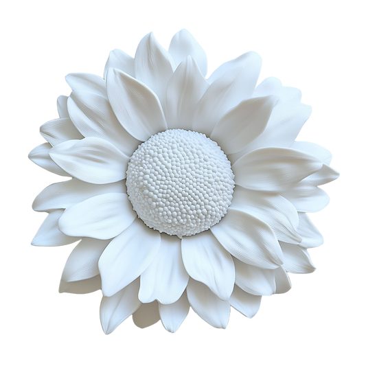 Sonnenblume