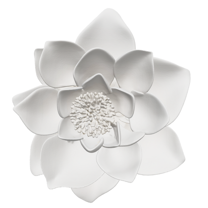 Blüte