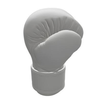 Boxhandschuh